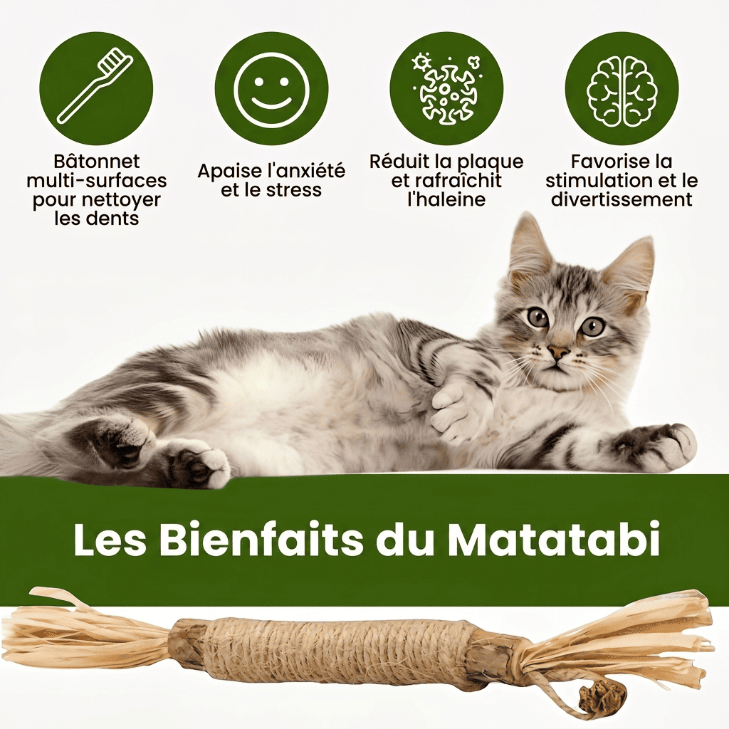 Somoria™ Bâtonnets Dentaires Au Matatabi