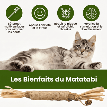 Somoria™ Bâtonnets Dentaires Au Matatabi
