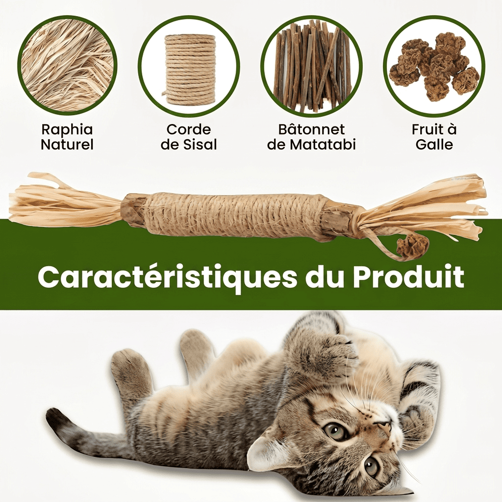 Somoria™ Bâtonnets Dentaires Au Matatabi