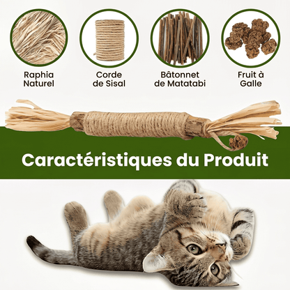 Somoria™ Bâtonnets Dentaires Au Matatabi