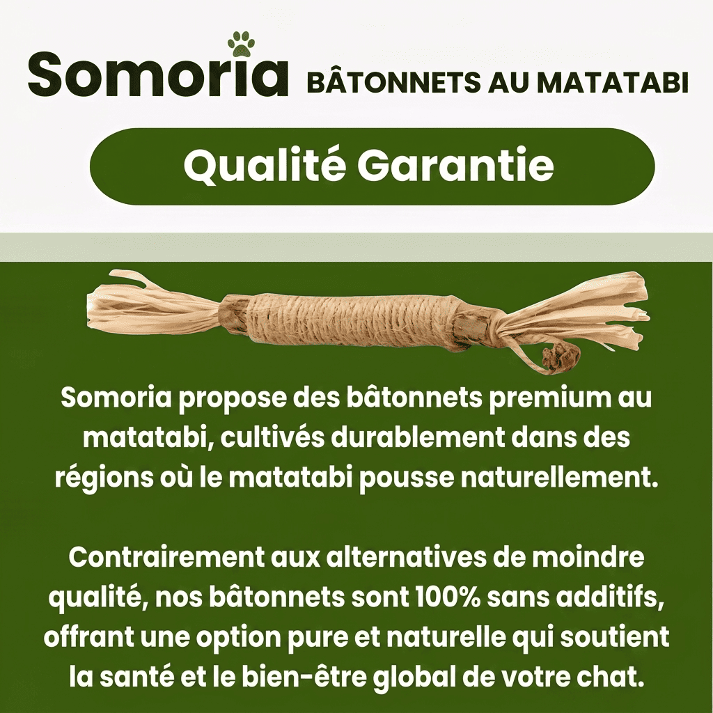 Somoria™ Bâtonnets Dentaires Au Matatabi