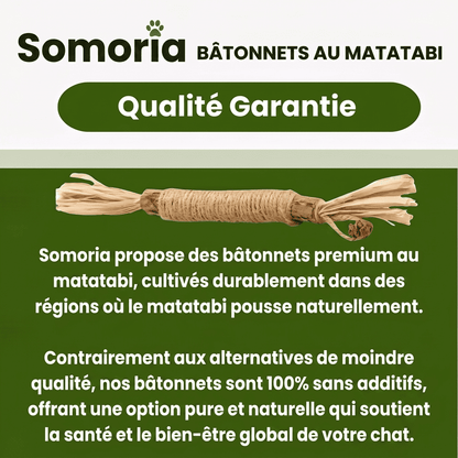Somoria™ Bâtonnets Dentaires Au Matatabi