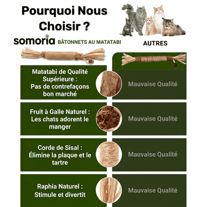 Somoria™ Bâtonnets Dentaires Au Matatabi