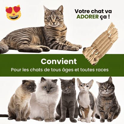 Somoria™ Bâtonnets Dentaires Au Matatabi